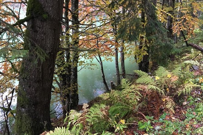 1 Day 4x4 Tour in Carpathian Mountains - Practical details before you book