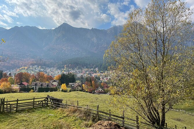 1 Day ATV Tour in Carpathian Mountains - Food, tickets, and what to bring