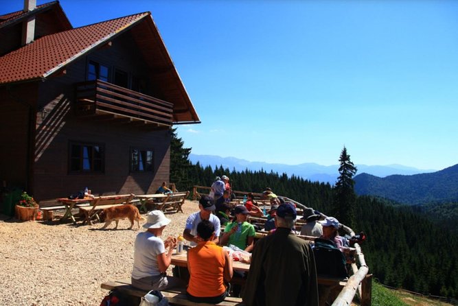 1 day CARPATHIAN PEAKS & CHALETS hike - Zărnești Gorges and the changing scenery