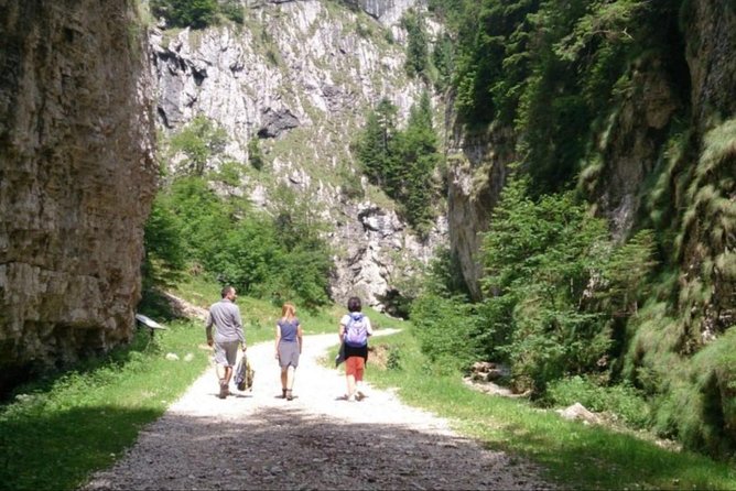 1 day CARPATHIAN PEAKS & CHALETS hike - What Andrei adds to the day