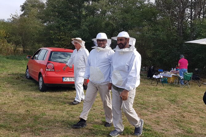 10 hours Private Apiary Tour in Romania - From Bucharest - Learning how a private apiary works