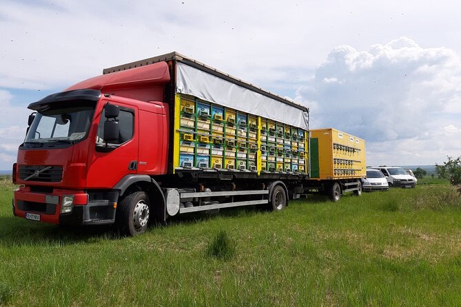 10 hours Private Apiary Tour in Romania - From Bucharest - Understanding honey from hive to table