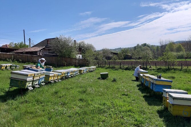 10 hours Private Apiary Tour in Romania - From Bucharest - Safety, access, and the long day