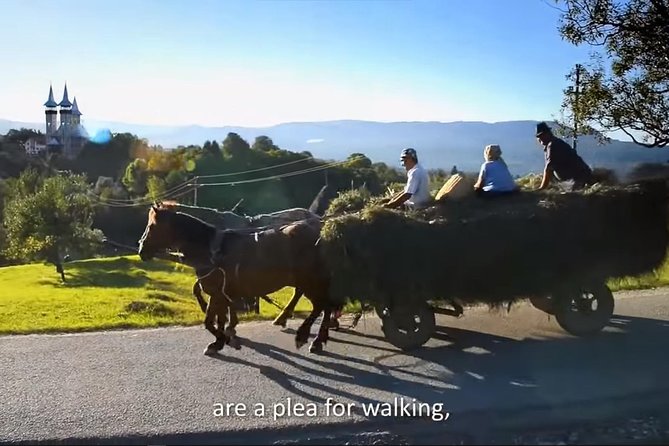 2 Days Private Tour Transfagarasan Road & Sibiu from Bucharest - Why this two-day route works