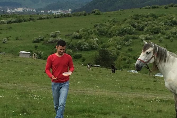 2 Days Private Tour Transfagarasan Road & Sibiu from Bucharest - The guide can make or break the experience