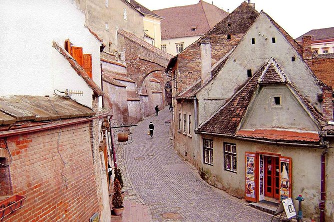 3-Day Transylvania Tour with Dracula's Castle - The driving experience and guide question