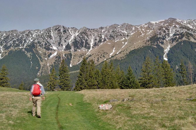 4-Day Carpathian Trek: Bucegi Mountains and Piatra Craiului National Park - From Brasov to the wilder Bucegi Mountains