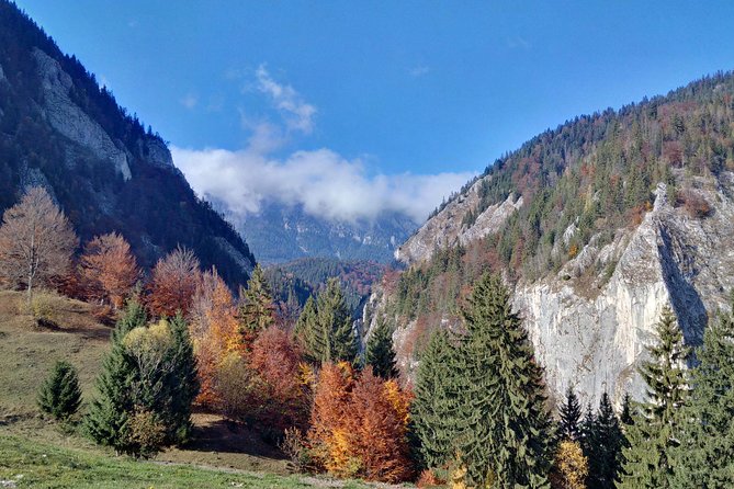 4-Day Carpathian Trek: Bucegi Mountains and Piatra Craiului National Park - What the guides add to the experience