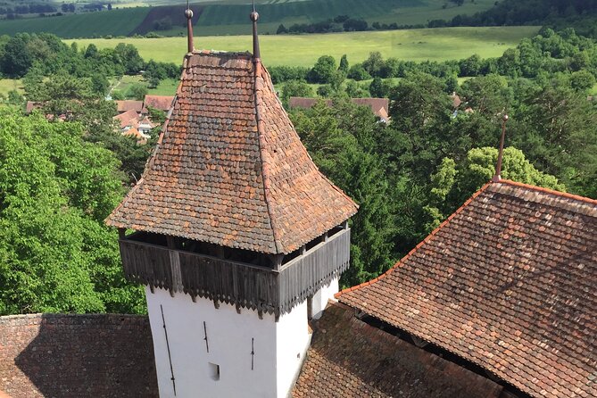 4-Day Private Tour: Bucharest to Budapest via Transylvania - Day 4: Timisoara and the missing Budapest detail