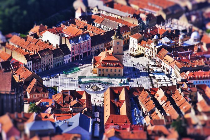 4 Days Private Tour in Transylvania: Sibiu, Sighisoara and Brasov - The private vehicle and guide experience