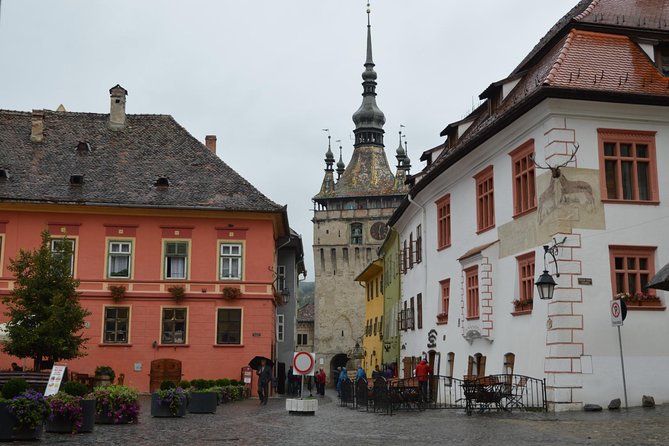 4 Days - Transylvania Private Tour - The guide, vehicle, and pace