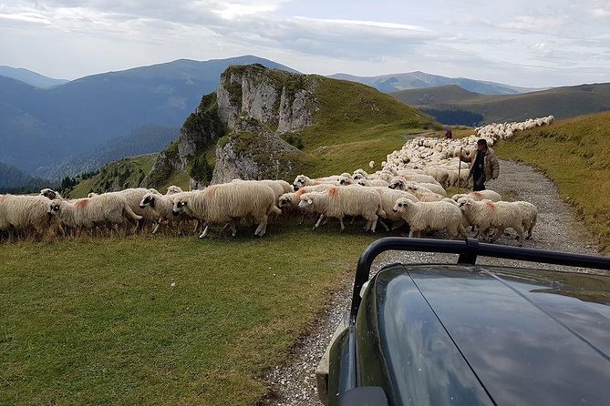 4x4 Driving Experience at Flying Altitudes - 7 Days - Day 6: Sinca Veche and Poiana Brasov