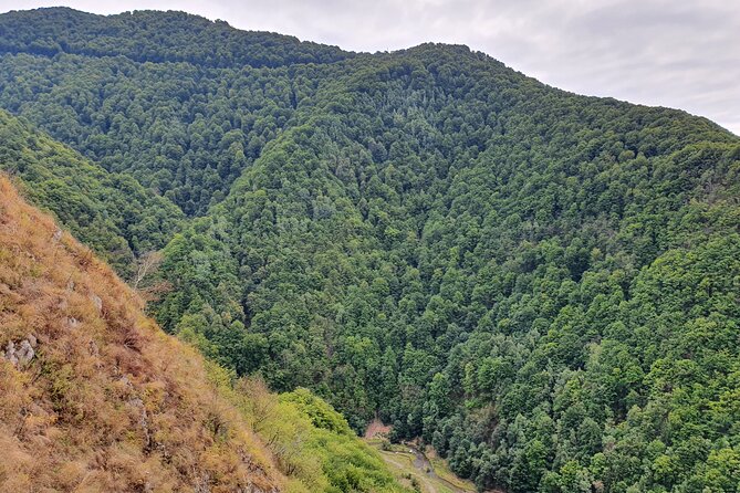 6 Days Private Tour in Romania Spectacular Places from Bucharest - Day three: fortified churches and medieval towns