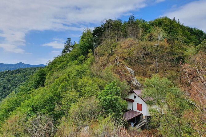 6 Days Private Tour in Romania Spectacular Places from Bucharest - Guiding, comfort, and flexibility