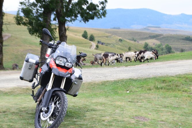 7 Day Best of Transylvania Motorcycle Tour from Cluj - Day 3: Bran Castle and Rasnov Citadel