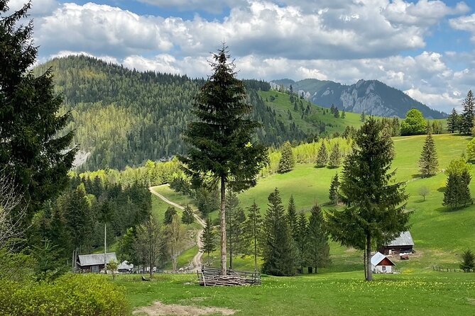 Adventure day trip from Iasi | Hiking in the Carpathian Mountains - Walking through the Bicaz Gorges