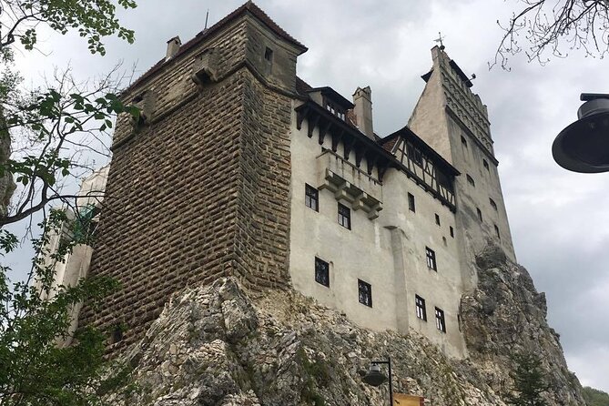 Bear Sanctuary and Bran Castle from Brasov - Timing, pickup, and the shape of the day