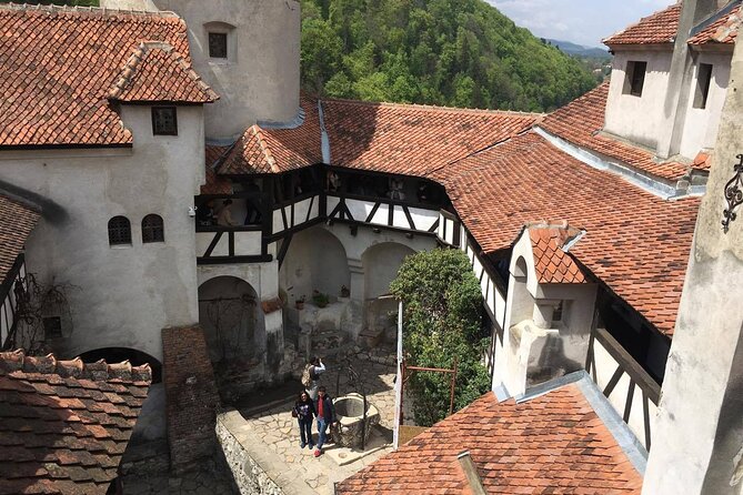 Bear Sanctuary and Bran Castle from Brasov - Who should choose this excursion
