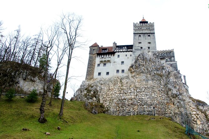 Bear Sanctuary and Bran Castle from Brasov - Libearty Bear Sanctuary: the emotional highlight