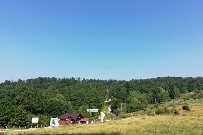 Bear Sanctuary and Dracula's Castle, 1-day Private Tour - Bran Castle beyond the Dracula label