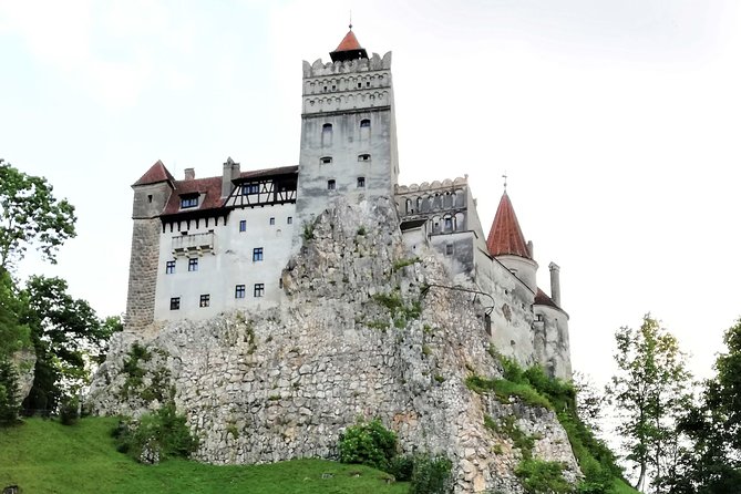 Bear Sanctuary and Dracula's Castle, 1-day Private Tour - How demanding is the day?