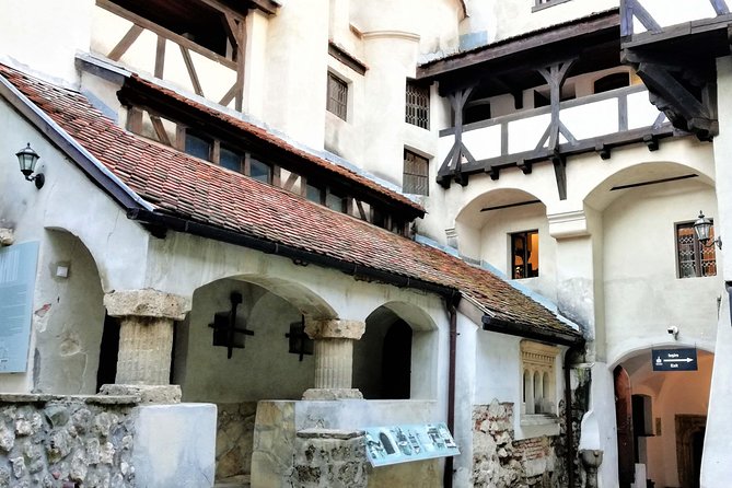 Bear Sanctuary and Dracula's Castle, 1-day Private Tour - Booking tips for a smoother day