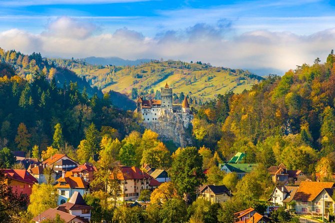 Bear Sanctuary, Bran (Dracula) Castle, Peles Castle From Brasov - Libearty Bear Sanctuary in Zarnesti