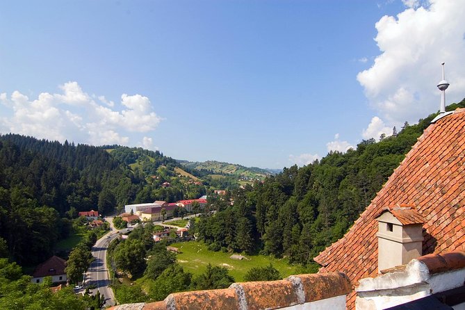 Bear Sanctuary, Bran (Dracula) Castle, Peles Castle From Brasov - The day’s pace and practical tradeoffs