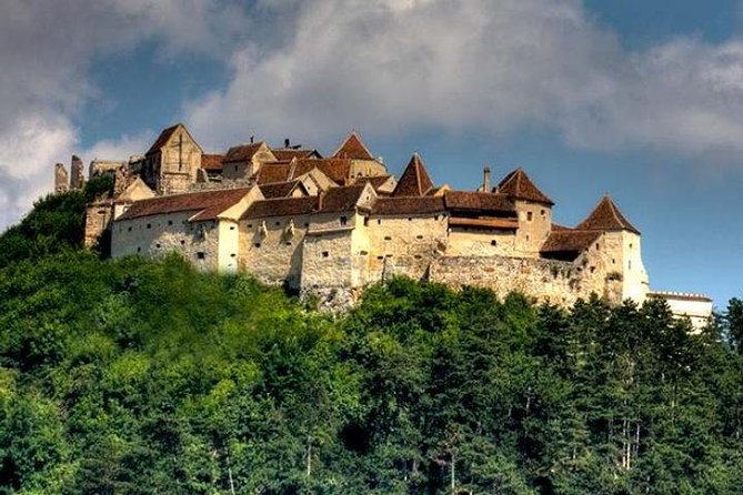 Bear Sanctuary & Rasnov Fortress - Private day tour from Bucharest - What the private guide adds