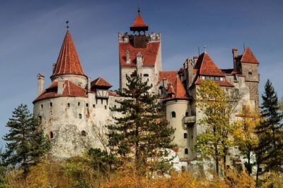 Bear Sanctuary Zarnesti,Bran Castle,Rasnov Fortres w/Hotel pickup