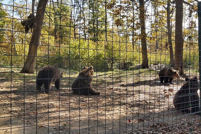 Bear Sanctuary Zarnesti,Bran Castle,Rasnov Fortres w/Hotel pickup - Is the $0.00 price good value?