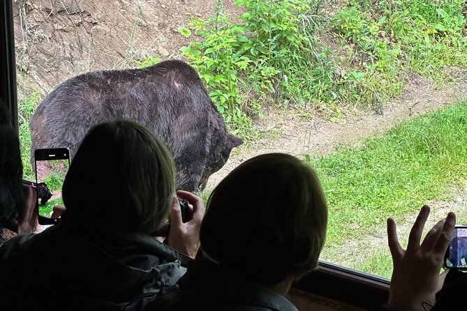 Bear Watching In Brasov: Observe Wild Bears From A Hideout (100%) - Leaving Brasov for the Transylvanian Forest