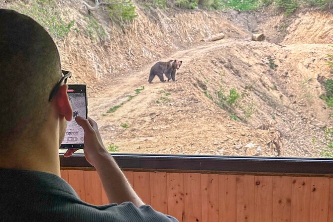 Bear Watching In Brasov: Observe Wild Bears From A Hideout (100%) - Who Will Get the Most From This Experience