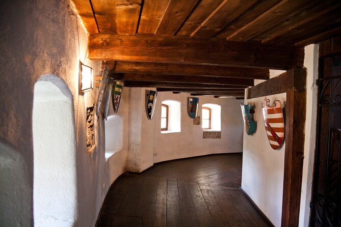 Bears Sanctuary, Dracula Castle and Poiana Brasov-Private day tour from Brasov - A strong three-part day from Brasov