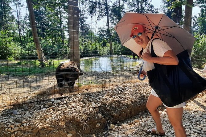 Bears Sanctuary, Dracula Castle and Poiana Brasov-Private day tour from Brasov - Private transport makes the long day easier