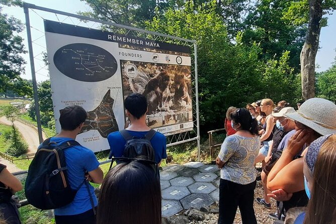 Bears Sanctuary, Dracula Castle and Poiana Brasov-Private day tour from Brasov - Who will enjoy this day most
