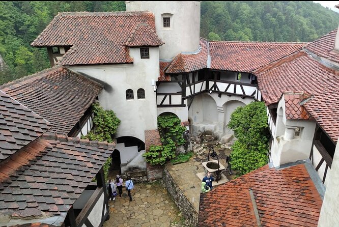 Bears Sanctuary, Dracula's Castle and Brașov City - Private Tour - Why the bear sanctuary is the heart of the day