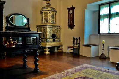 Bears Sanctuary, Dracula’s Castle and Brașov City – Private Tour