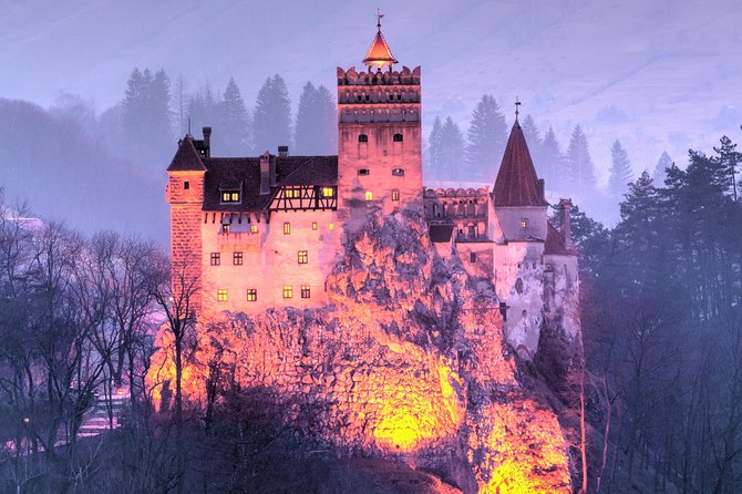 Bears Sanctuary, Dracula's Castle, Brasov Day Trip Private Tour from Bucharest - What the $307.56 price really buys you