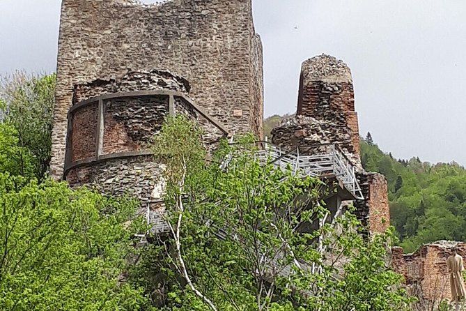 Bears Sanctuary, Dracula's Castle, Brasov Day Trip Private Tour from Bucharest - Who should book this Bucharest day trip