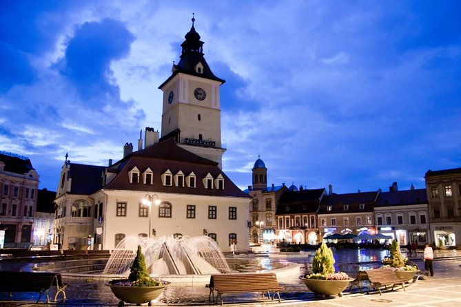 Bears Sanctuary, Dracula's Castle, Brasov Day Trip Private Tour from Bucharest - Should you book it?