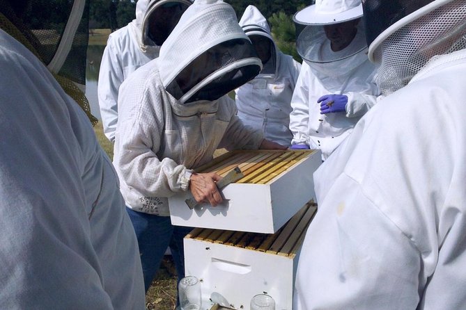 Beekeeping Day Trip| Private Guided Tour from Bucharest - Key points about this Romanian apiary day