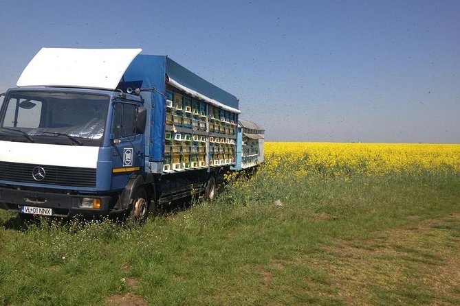 Beekeeping Day Trip| Private Guided Tour from Bucharest - Lunch with Romanian food and ecological drinks