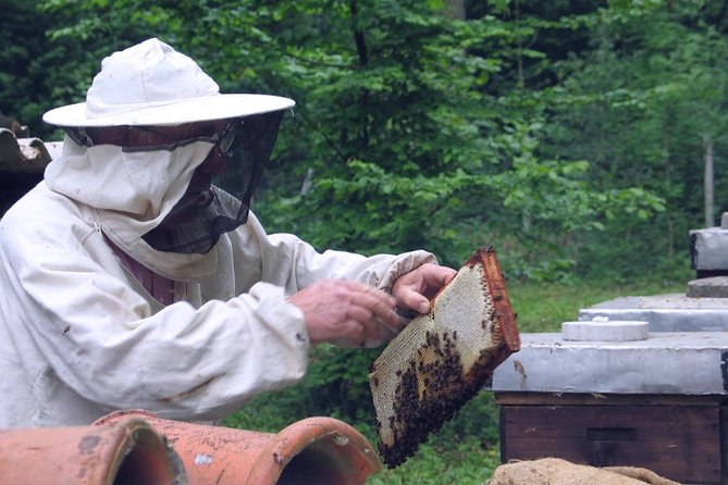 Beekeeping Day Trip| Private Guided Tour from Bucharest - The value of a $413.44 private tour