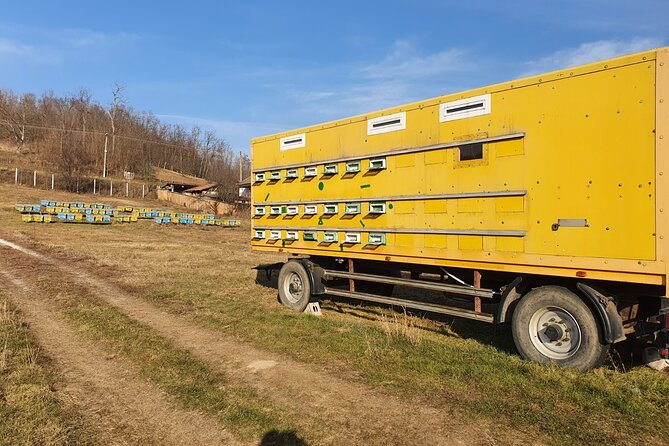 Beekeeping Day Trip| Private Guided Tour from Bucharest - Who should book this apiary experience