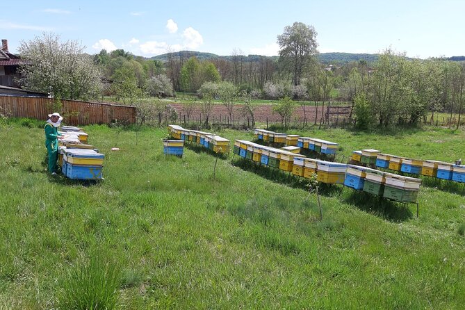 Beekeeping Day Trip| Private Guided Tour from Bucharest - Seeing how a hive works