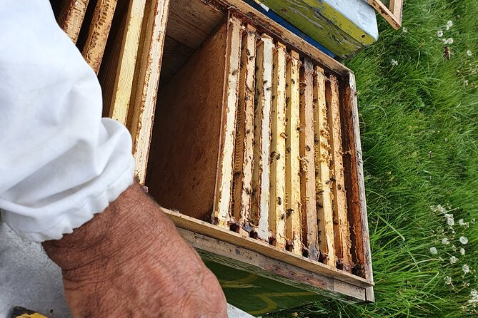Bees Adventure in Romania - Private Day Trip from Bucharest - Why this apiary trip feels different from a standard day tour