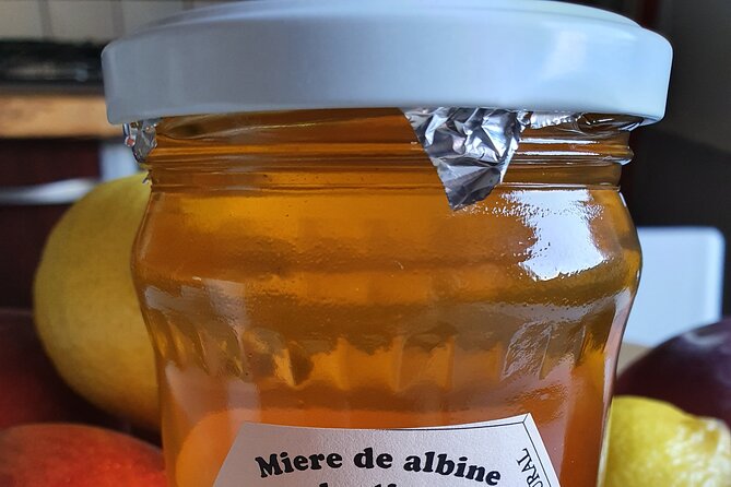 Bees Adventure in Romania - Private Day Trip from Bucharest - Learning how a hive works