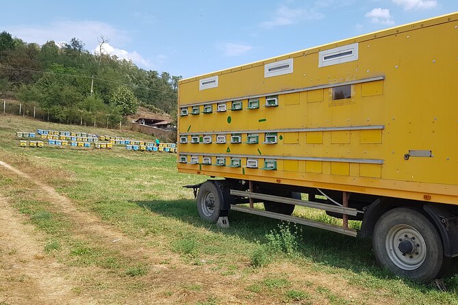 Bees Adventure in Romania - Private Day Trip from Bucharest - A Romanian lunch with local ingredients