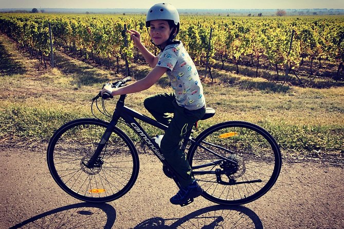 Bike & Wine tour in Dealu Mare wineland - What the winery visit adds